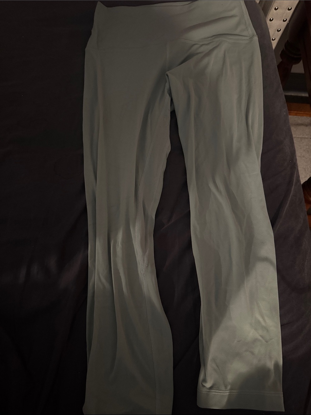Women’s Lululemon align pants In Palm Court Pants 23’